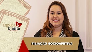 Explica Direito Filiação Socioafetiva  2019 [upl. by Ahsenhoj]