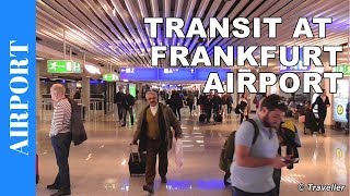 TRANSIT WALK AT FRANKFURT Airport FRA Terminal 1  Connection Flight Transfer Arriving amp Departing [upl. by Aianat]